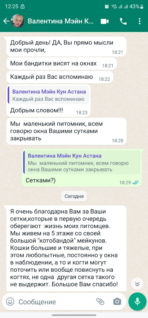 Отзыв KinderSafe — Валентина, питомник мейн-кунов (WhatsApp)